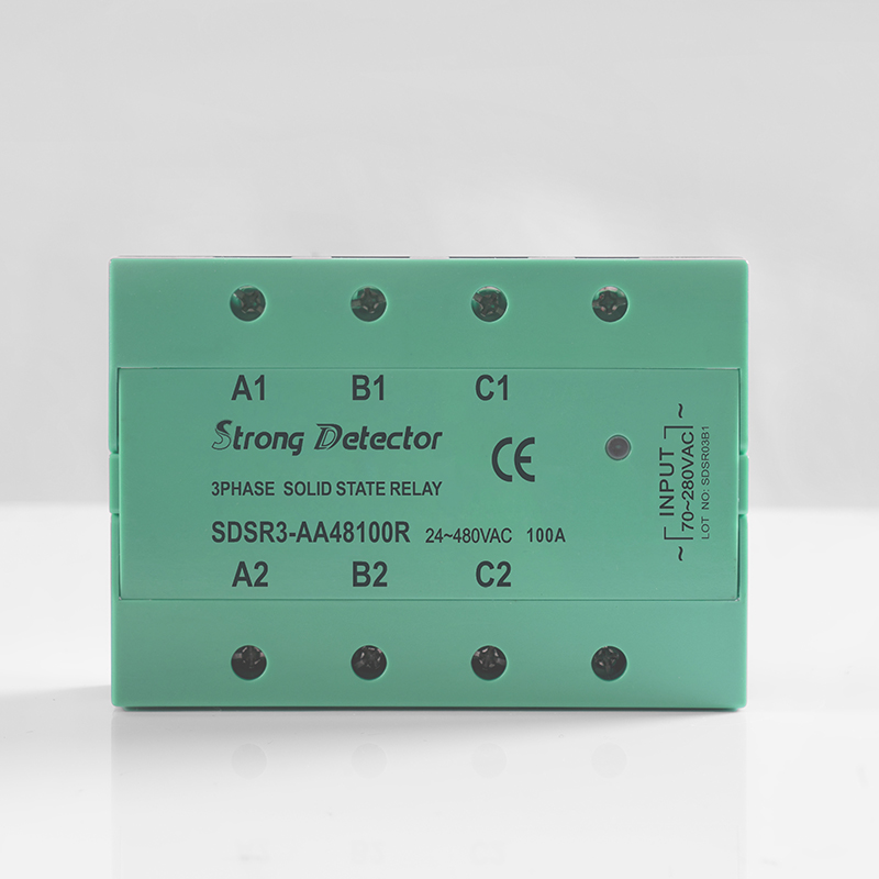 SDSR3-AA48100R 2